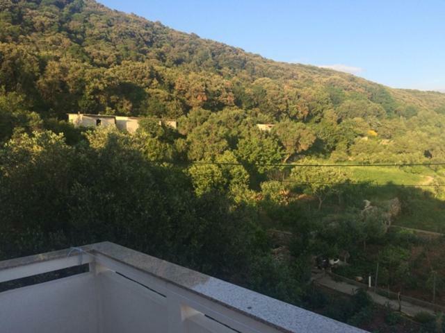 Apartman Supetarska Draga Exterior photo
